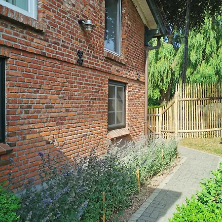 Apartment No 14 *